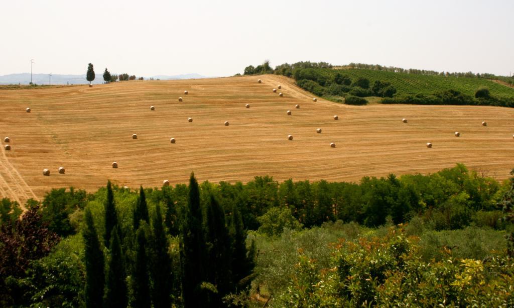 Podere Gattabigia Lägenhet Lastra a Signa Exteriör bild